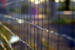 the fence